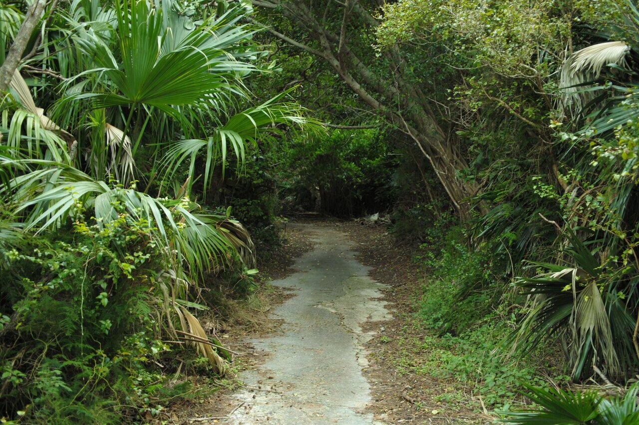 forested path and overcast day, Bermuda