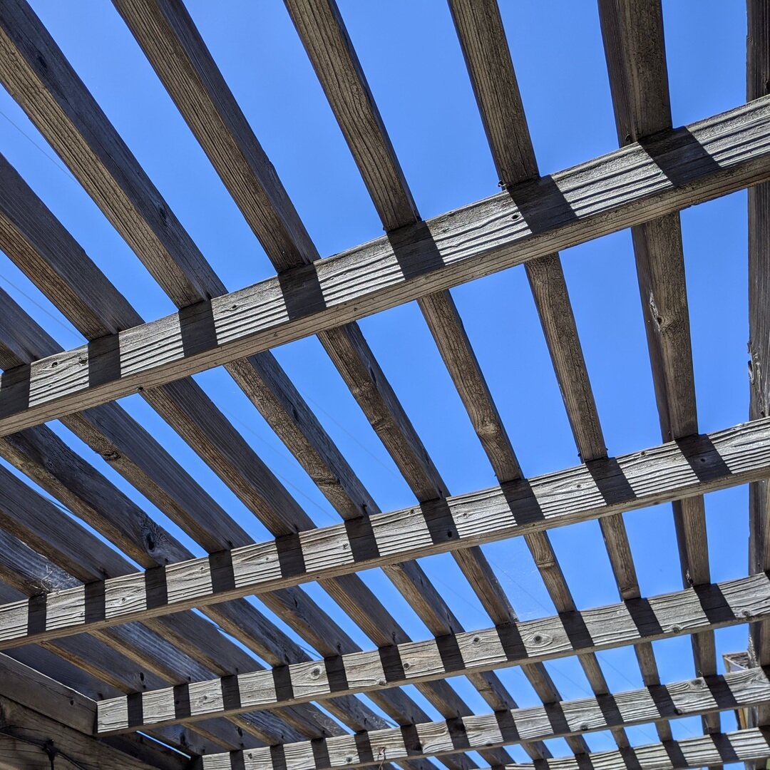 bleached trellis, San José, California