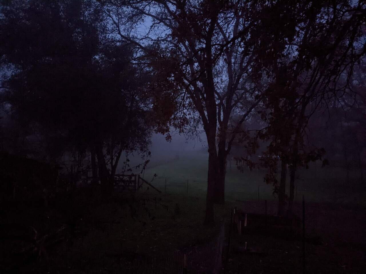fog and evening gloom, Placerville, California