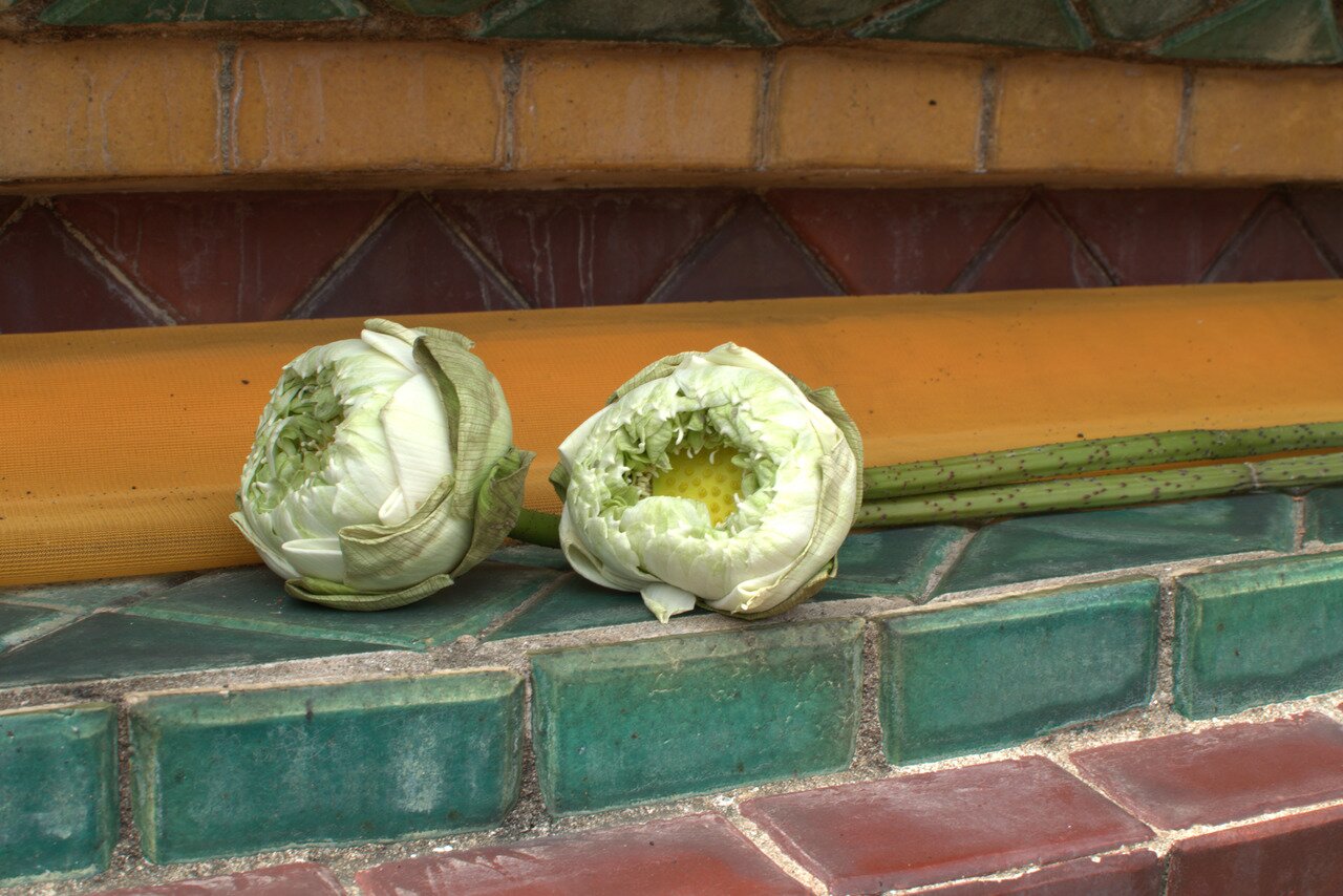 lotus blossom offerings, Wat Pho, Bangkok, Thailand