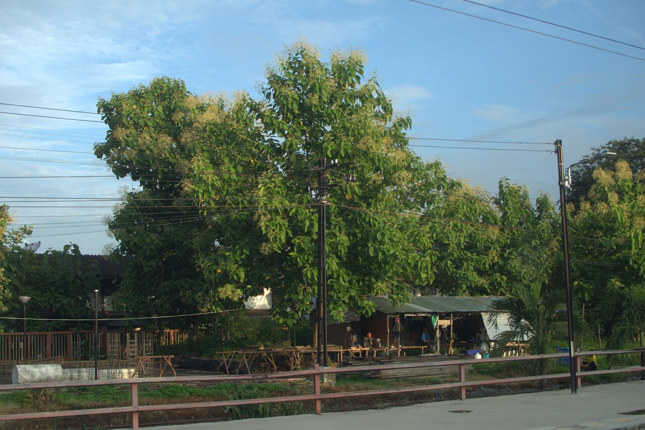 train window, leaving Bangkok, Thailand
