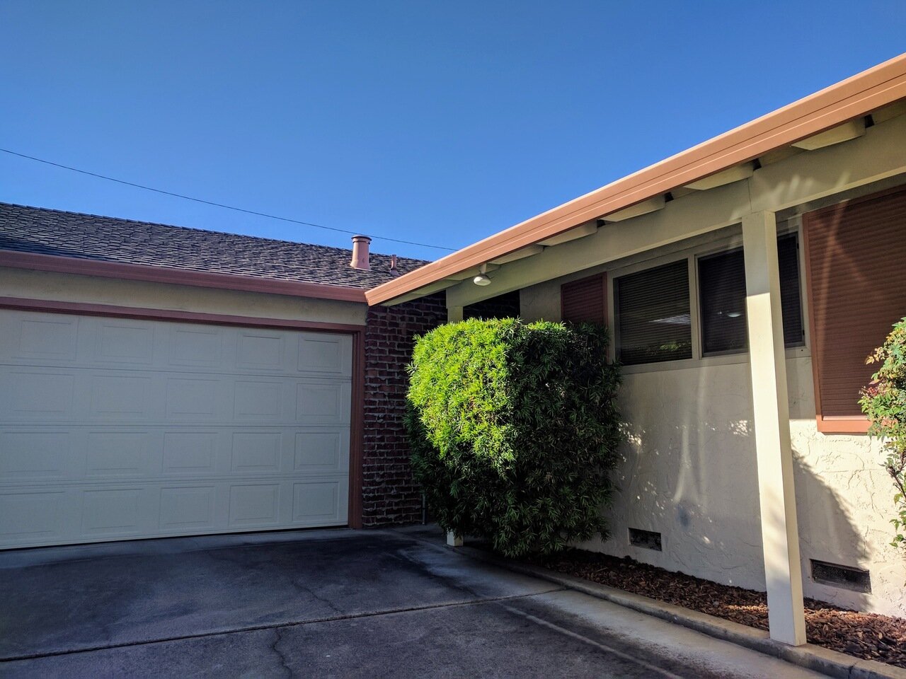 a shrubbery, San José, California