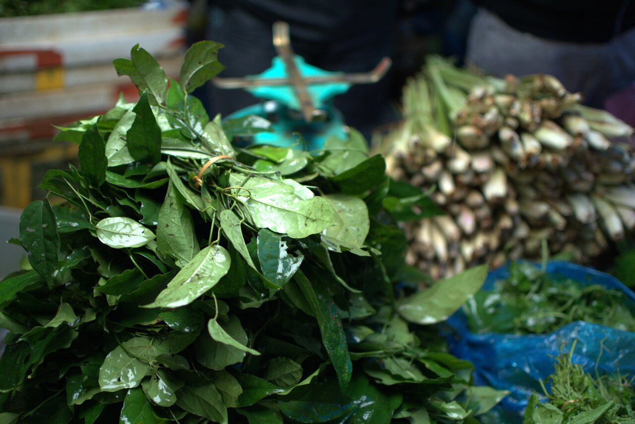 fresh herbs, Luang Prabang, Laos