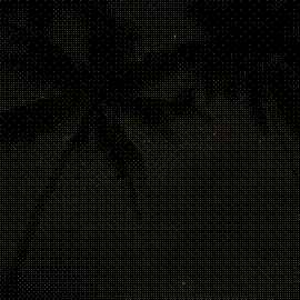 night sky, Savo Sunset Lodge, Solomon Islands