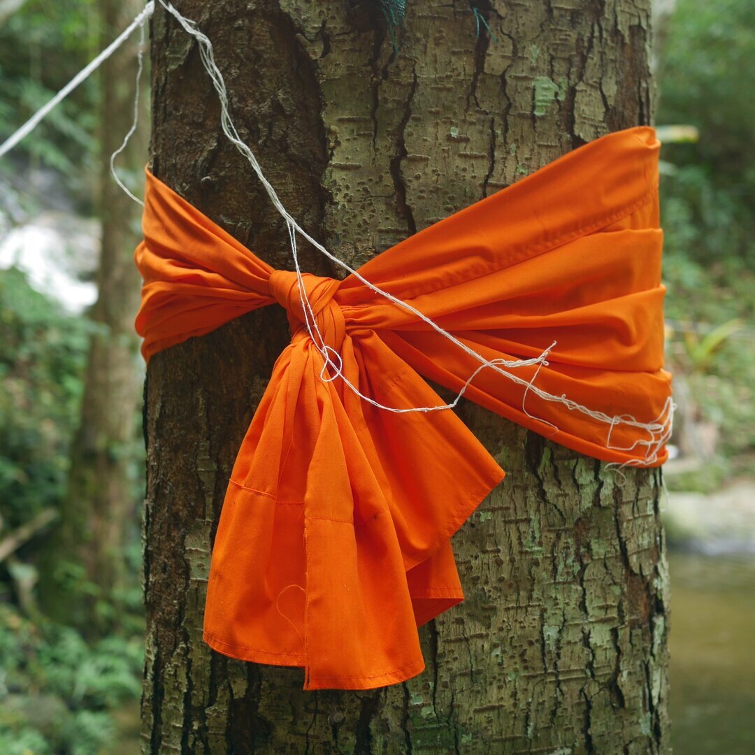 tree offering, Chiang Mai, Thailand