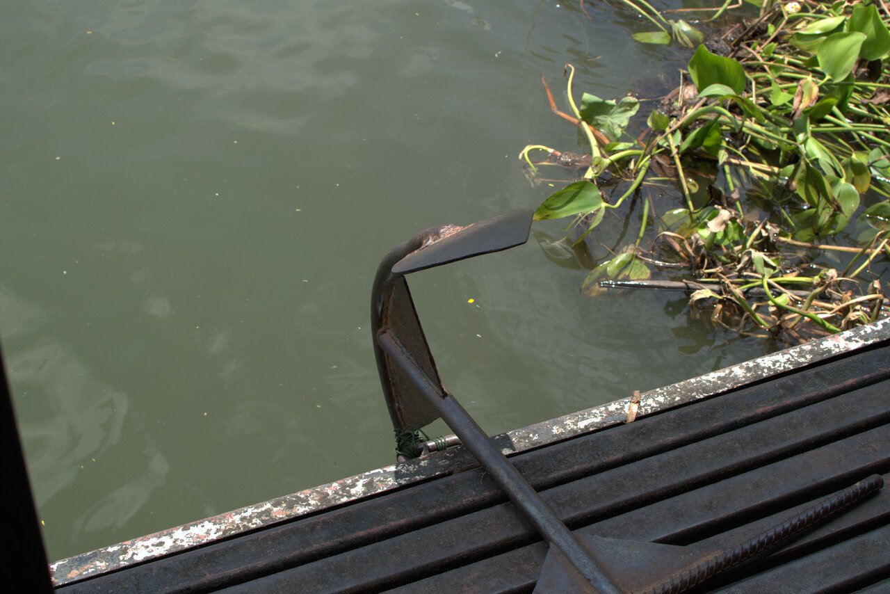 anchor and water hyacinth, Kanchanaburi, Thailand