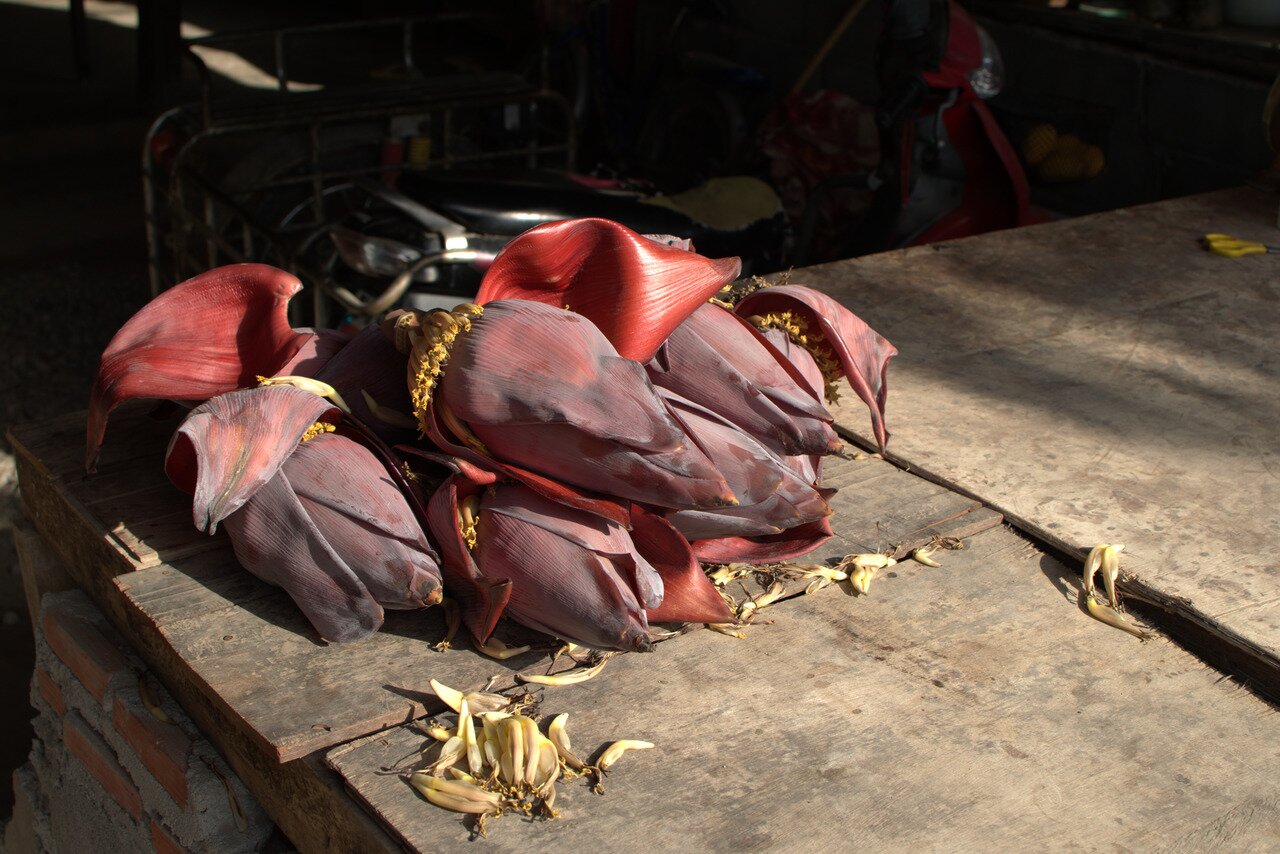 banana flowers, Wat Muang Chum, Kanchanaburi, Thailand