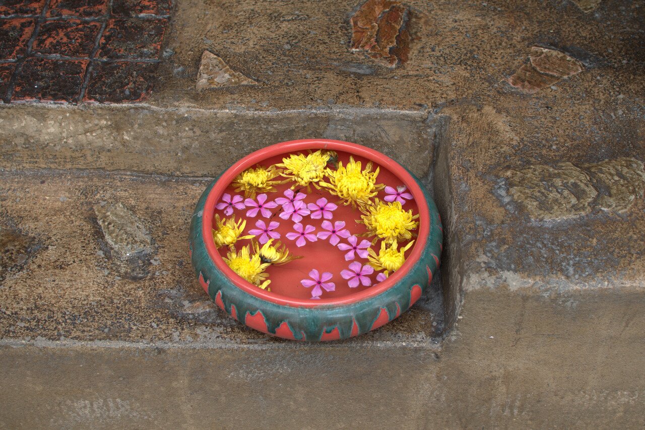 flowers and water, Wat Mahathat, Ayutthaya, Thailand