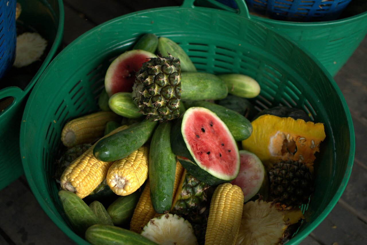 fruit and vegetables, Elephant Nature Park, Chiang Mai, Thailand