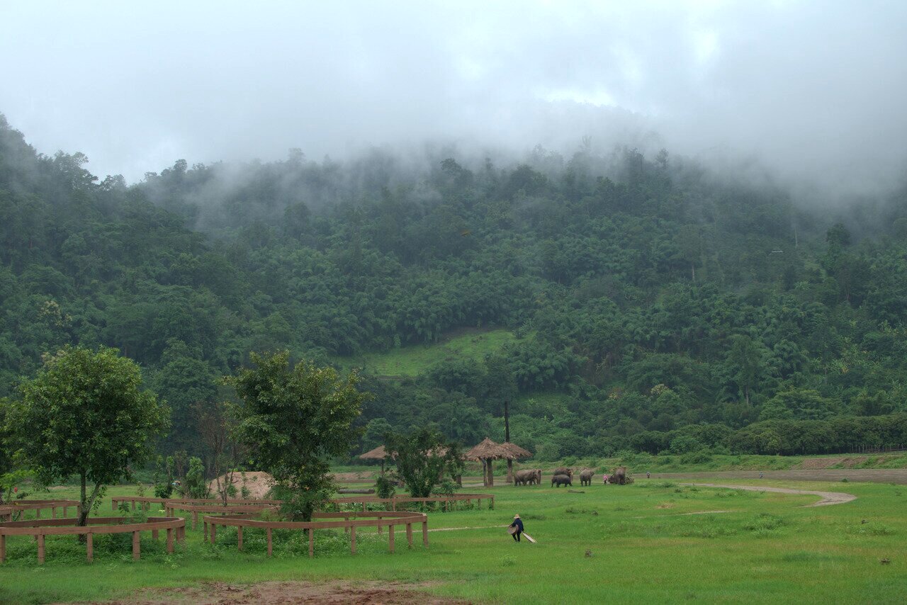 misty hills, Elephant Nature Park, Chiang Mai, Thailand