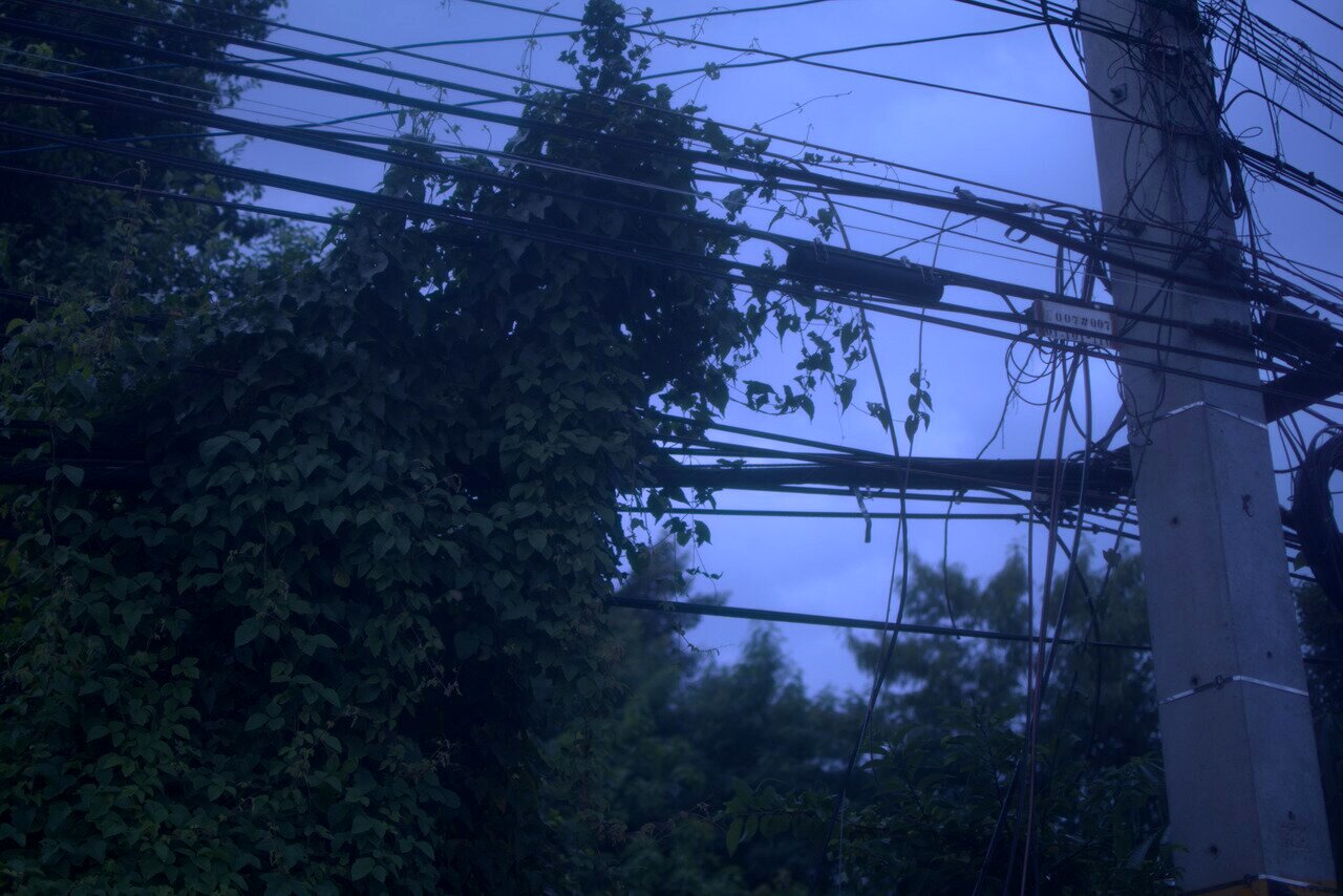 vines and lines, road back to Chiang Mai, Thailand