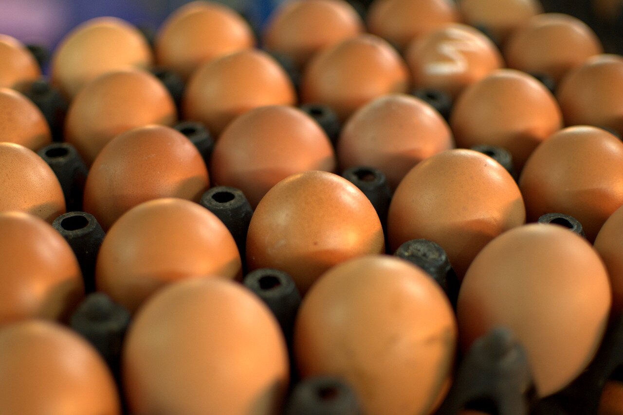 fresh eggs, market, Chiang Mai, Thailand