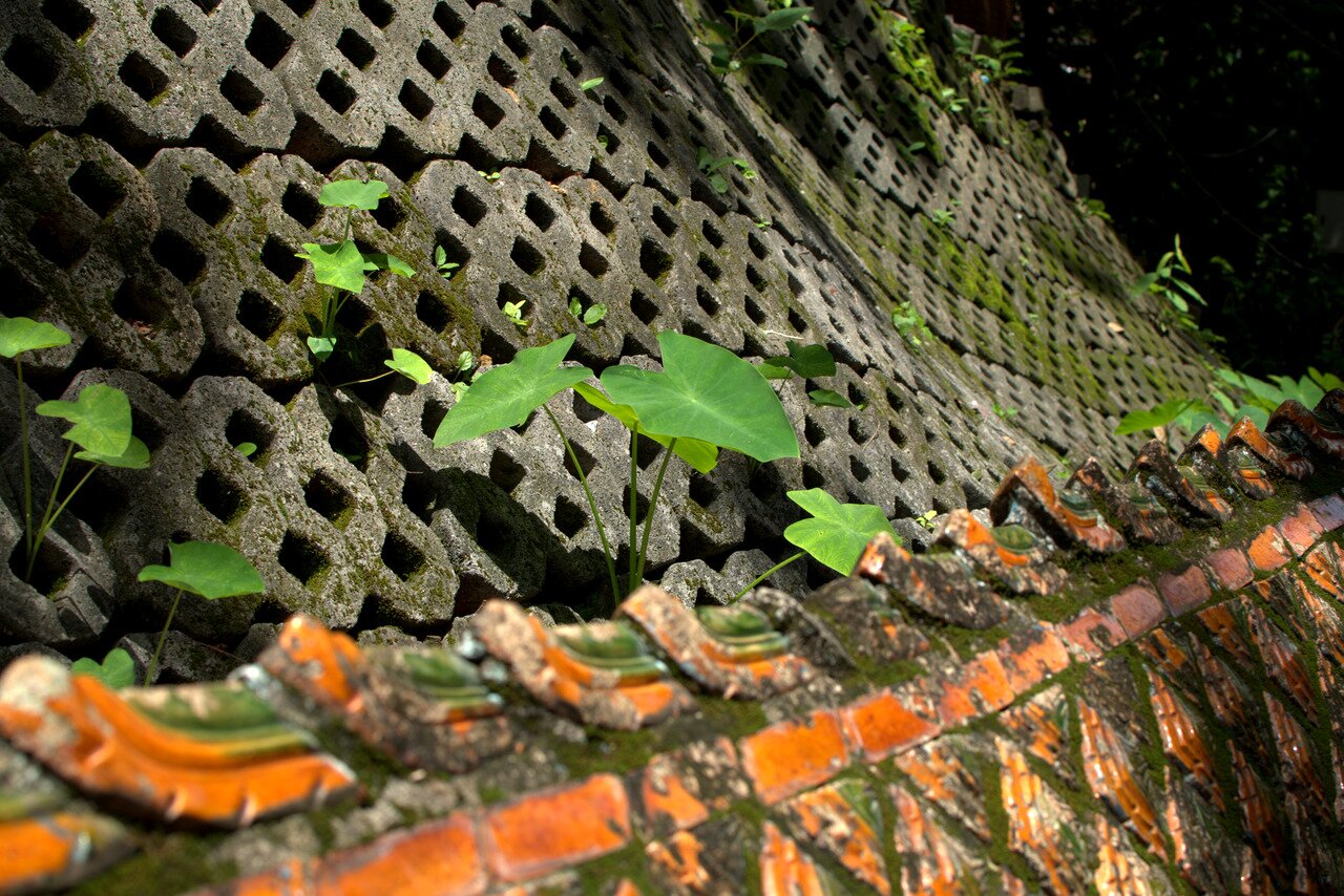 leaves on a stair, Mae Sai, Thailand