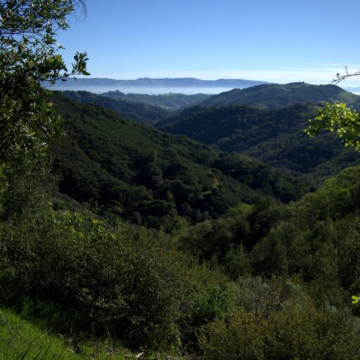 valleys and fog thumbnail, California