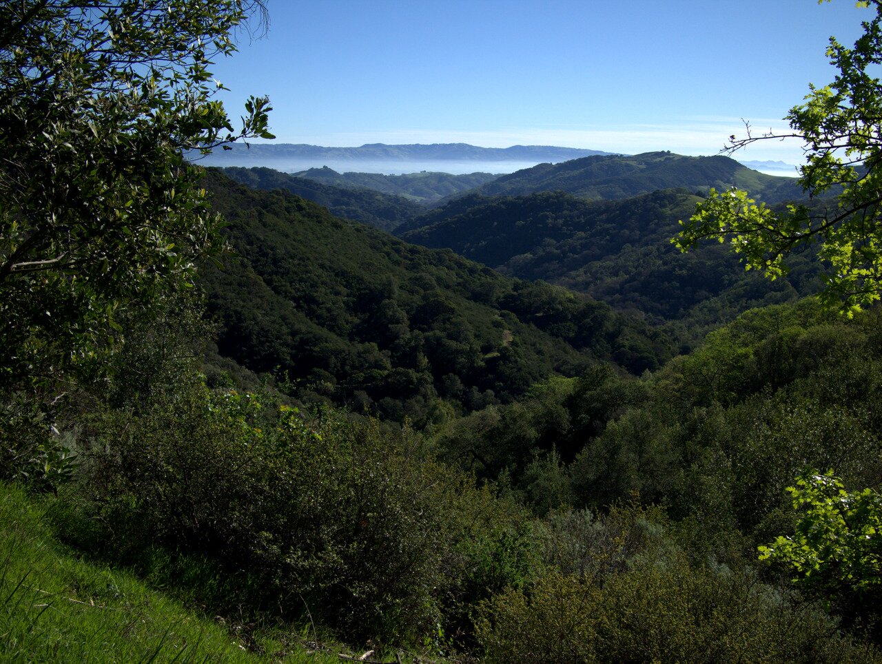 valleys and fog, California