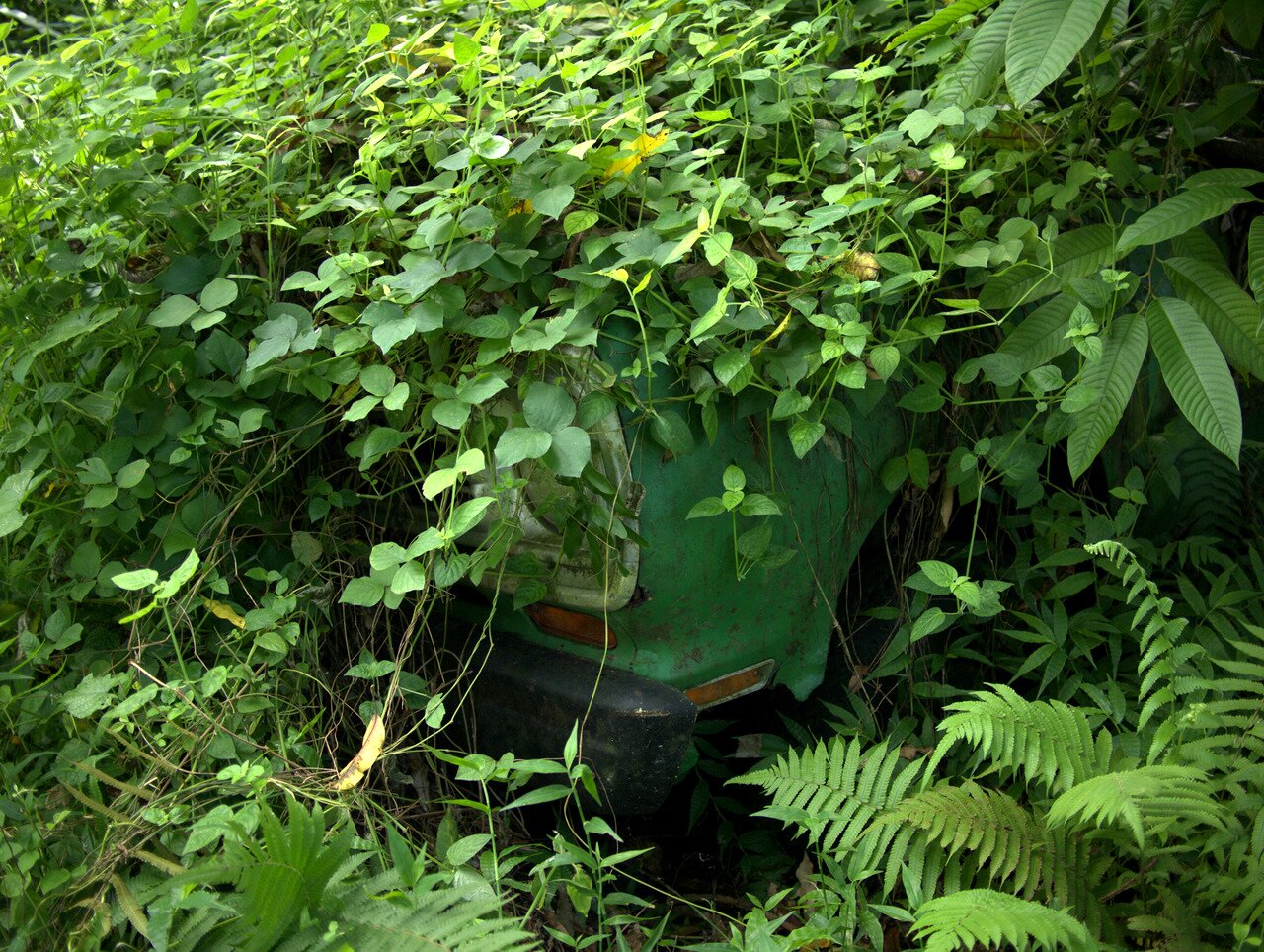 reclaimed vehicle, Hawai‘i, Hawai‘i