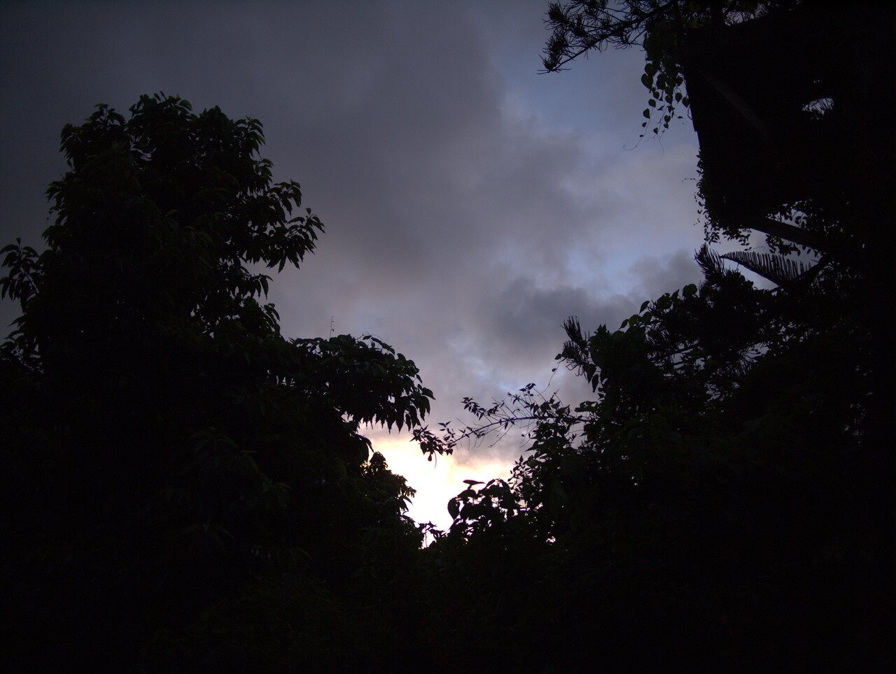 silhouettes and sunset, Hawai‘i, Hawai‘i