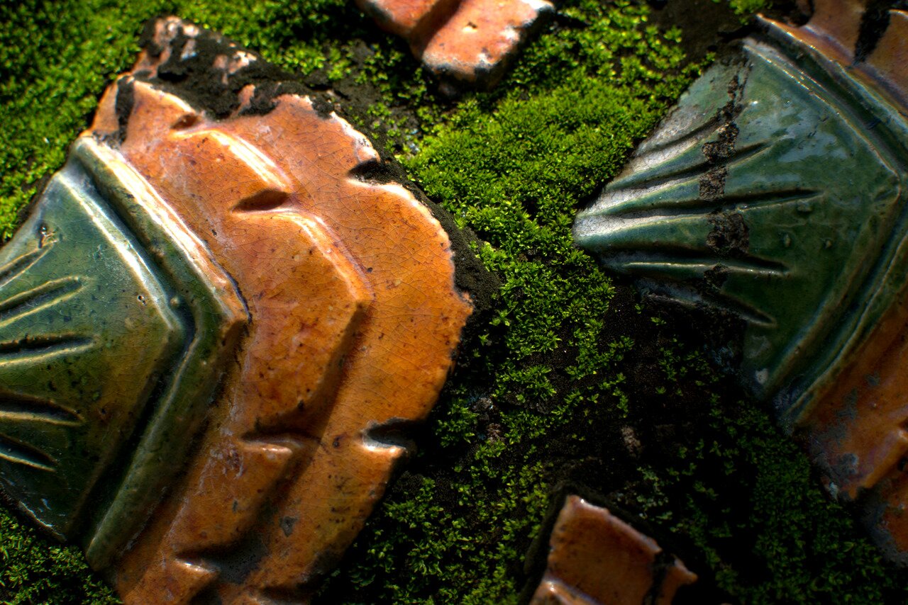 dragon scales and moss, Mae Sai, Thailand