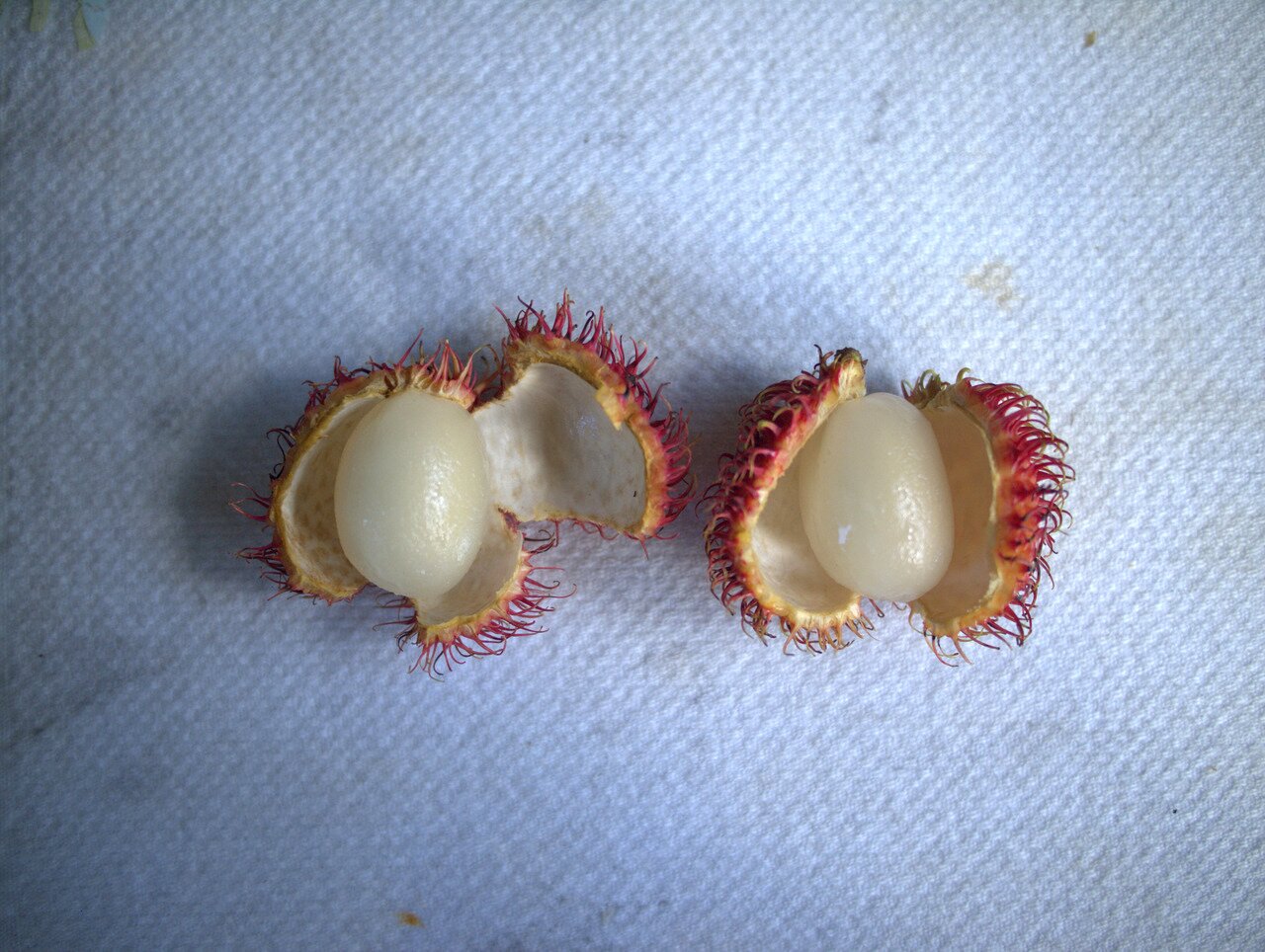 opened rambutan, Hawai‘i, Hawai‘i