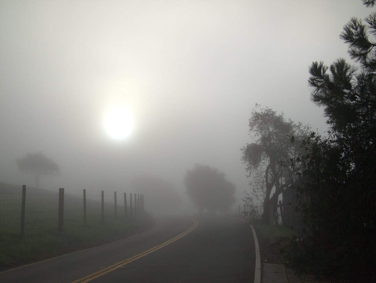 sun and fog, California