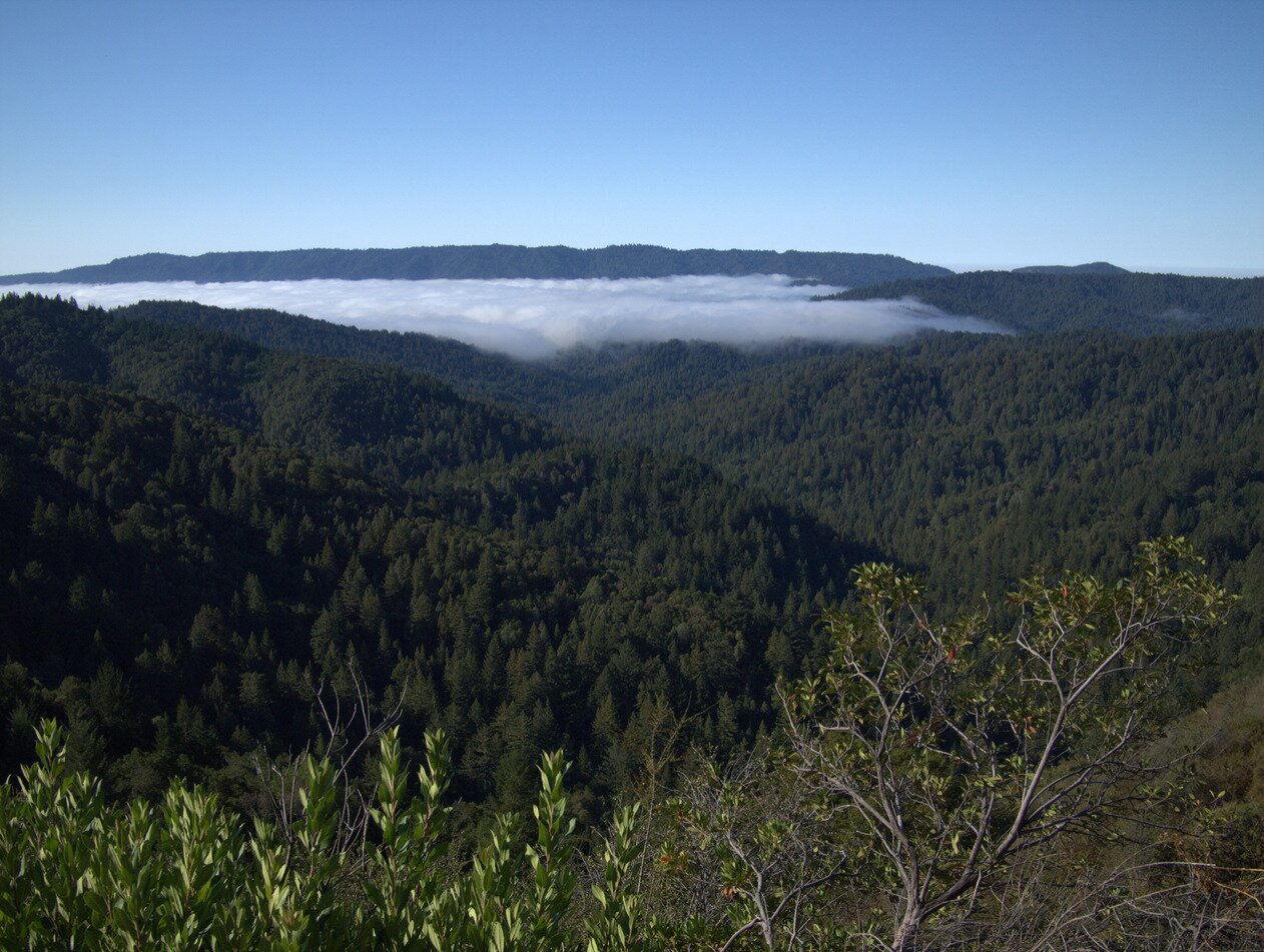 hills and fog, California