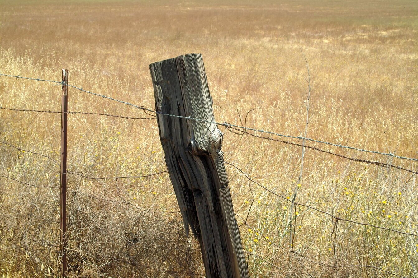 fence posts, San José, California