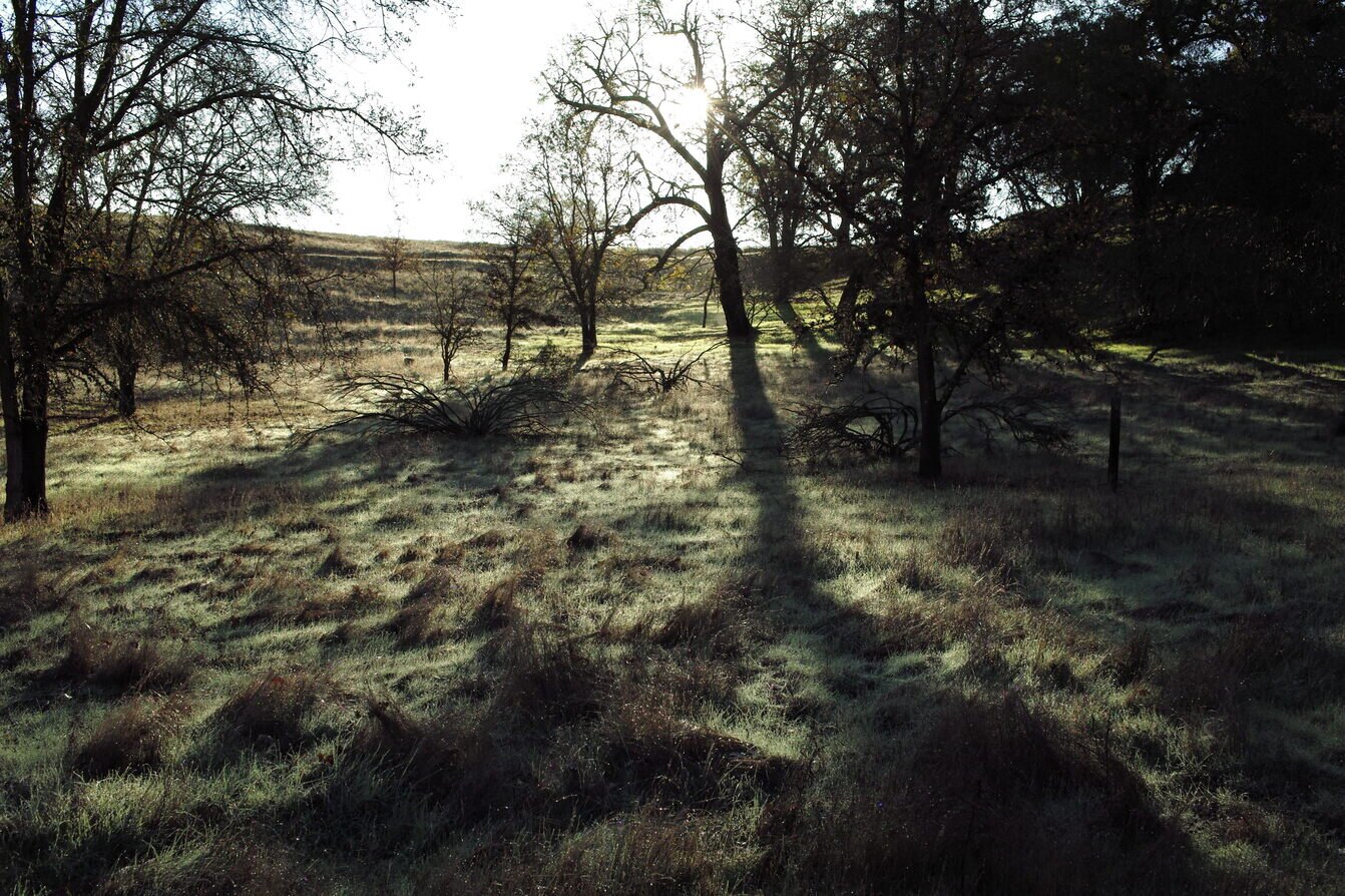 morning shadows, California