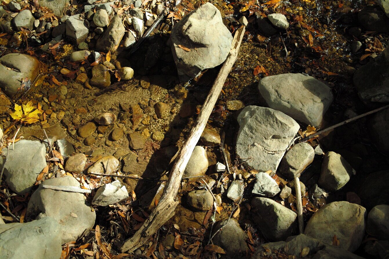 rocks, sticks, and a creek, Soquel, California
