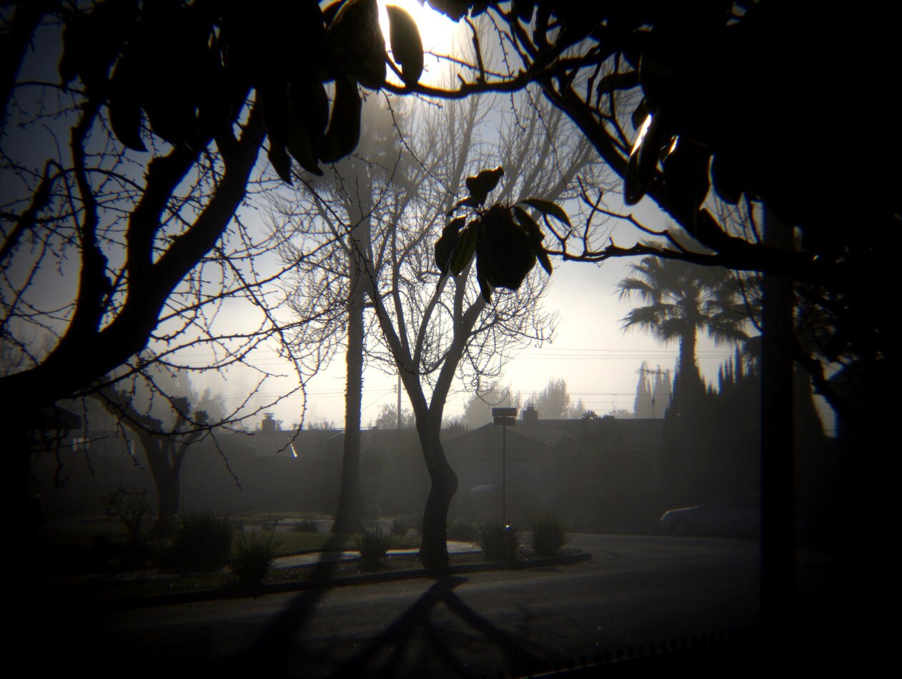 contre jour, San José, California