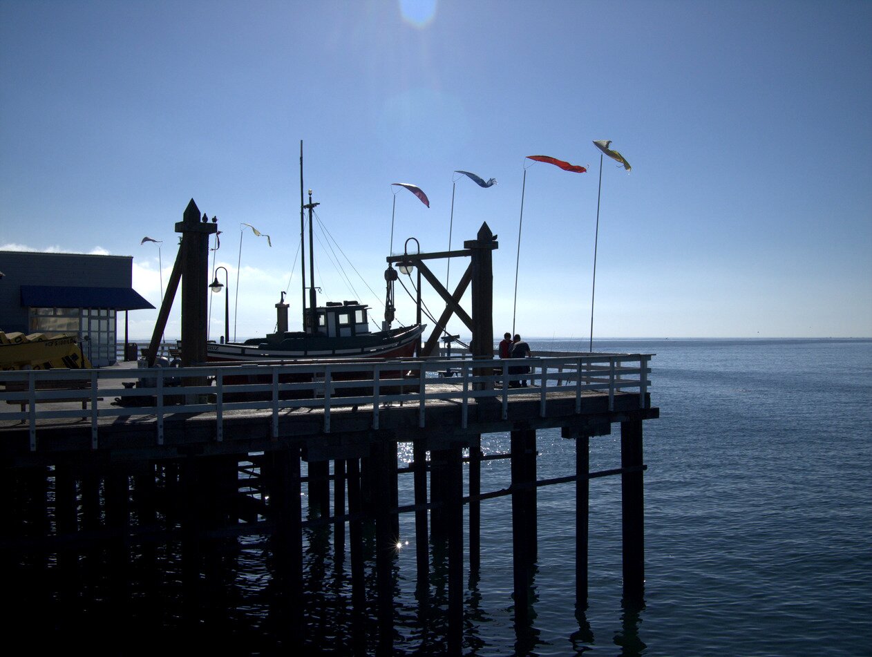 wharf pilings, Santa Cruz, California