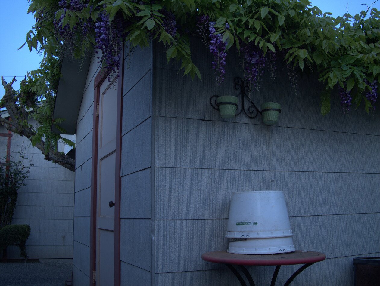 evening shed, San José, California
