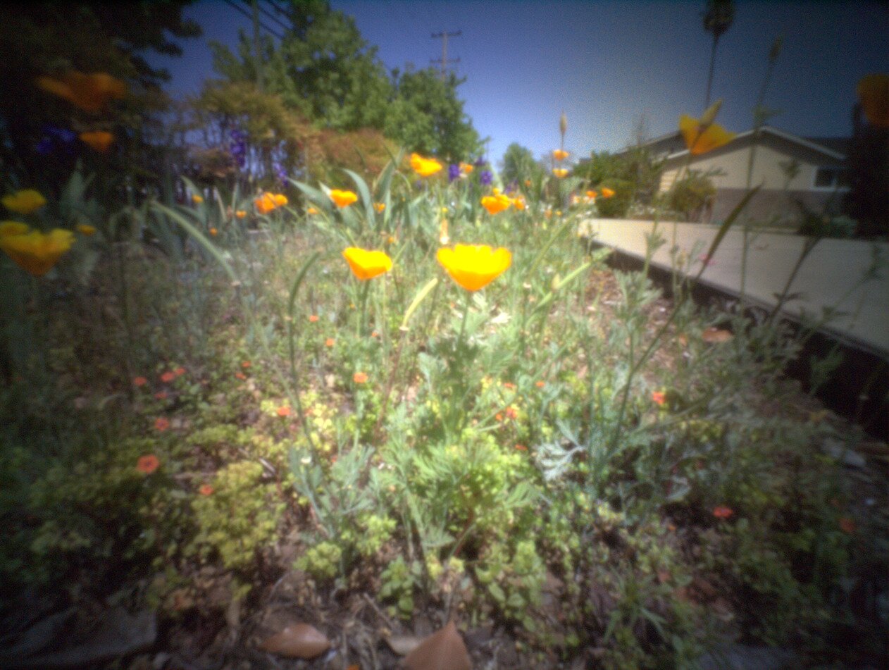 pinhole