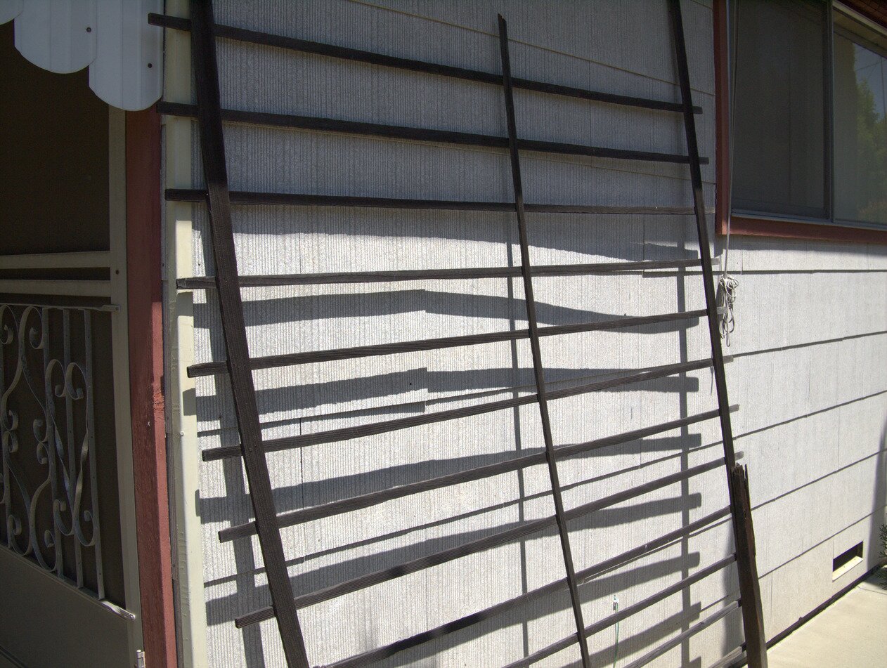 trellis, San José, California
