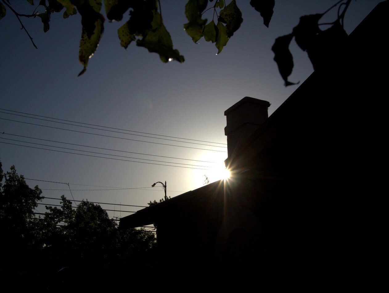sun and silhouettes, San José, California