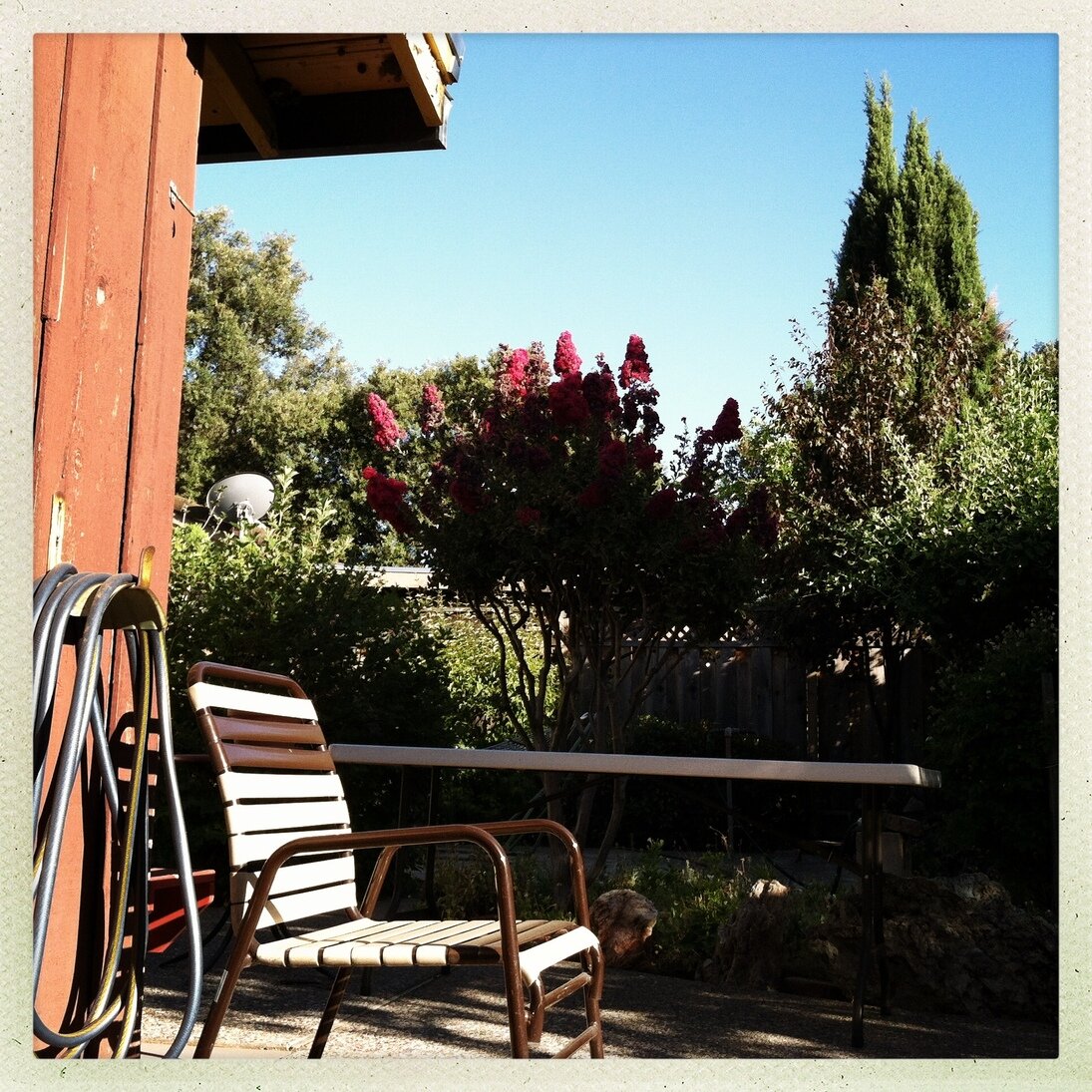patio chair, San José, California - Hipstamatic