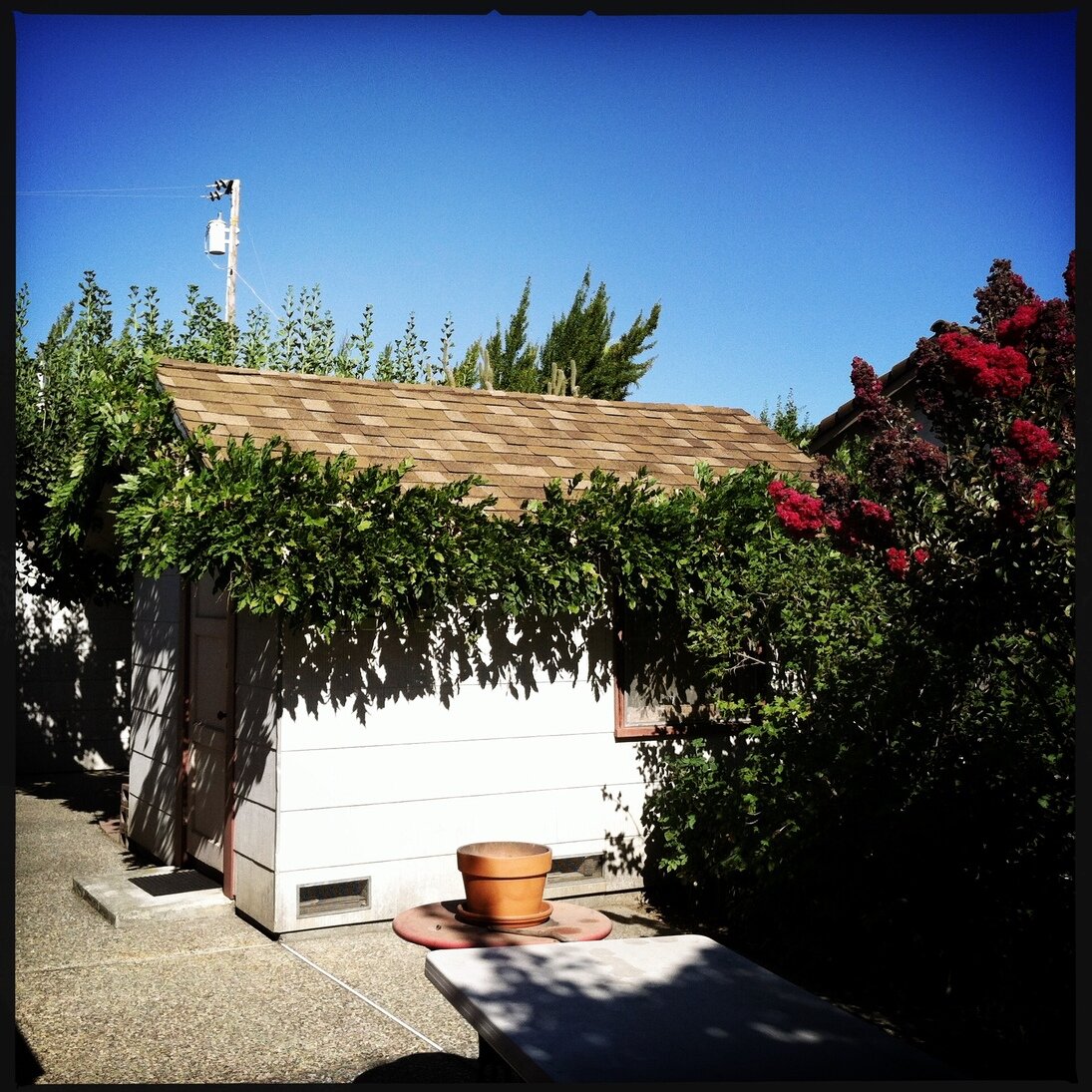 garden shed, San José, California - Hipstamatic