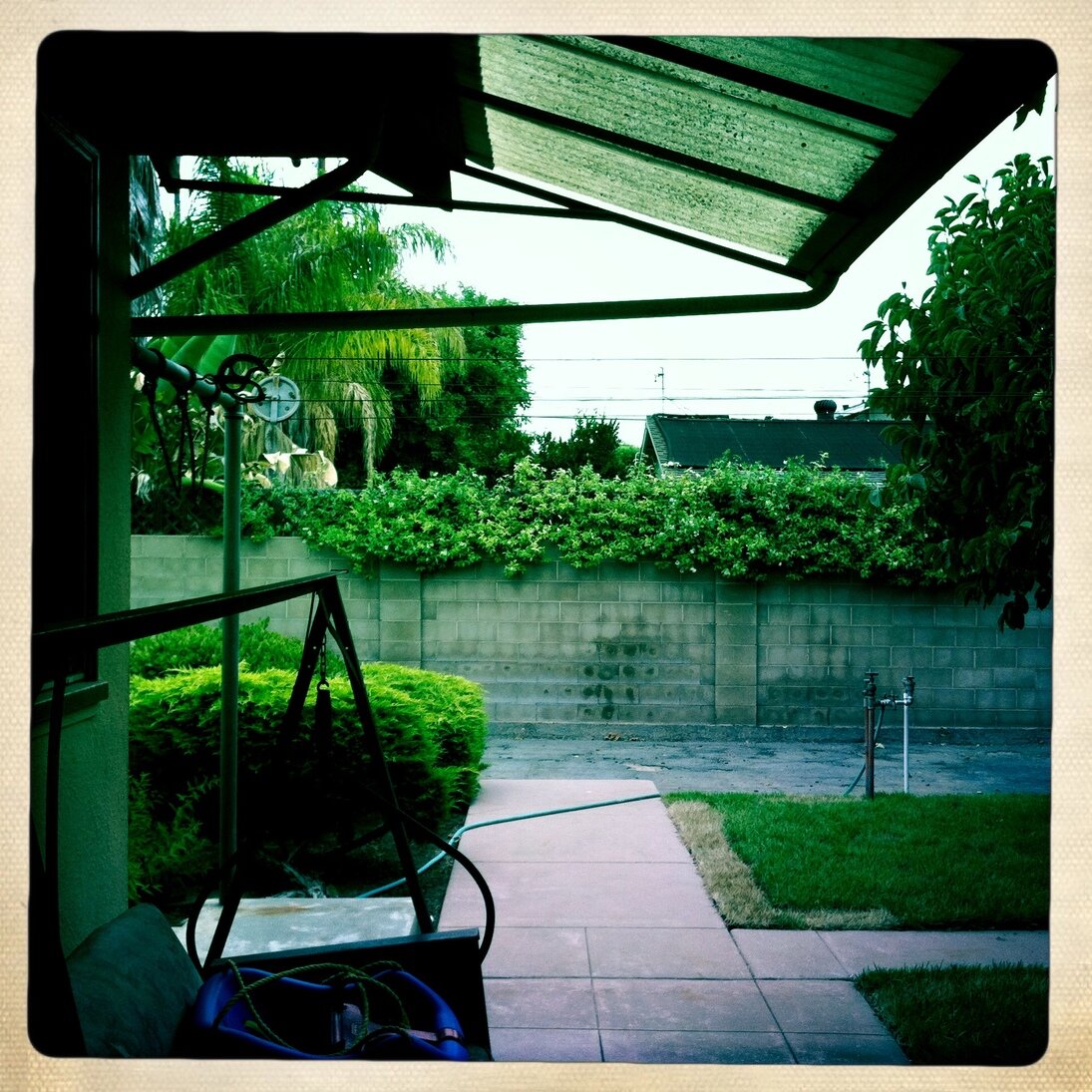 green and dreary, San José, California - Hipstamatic