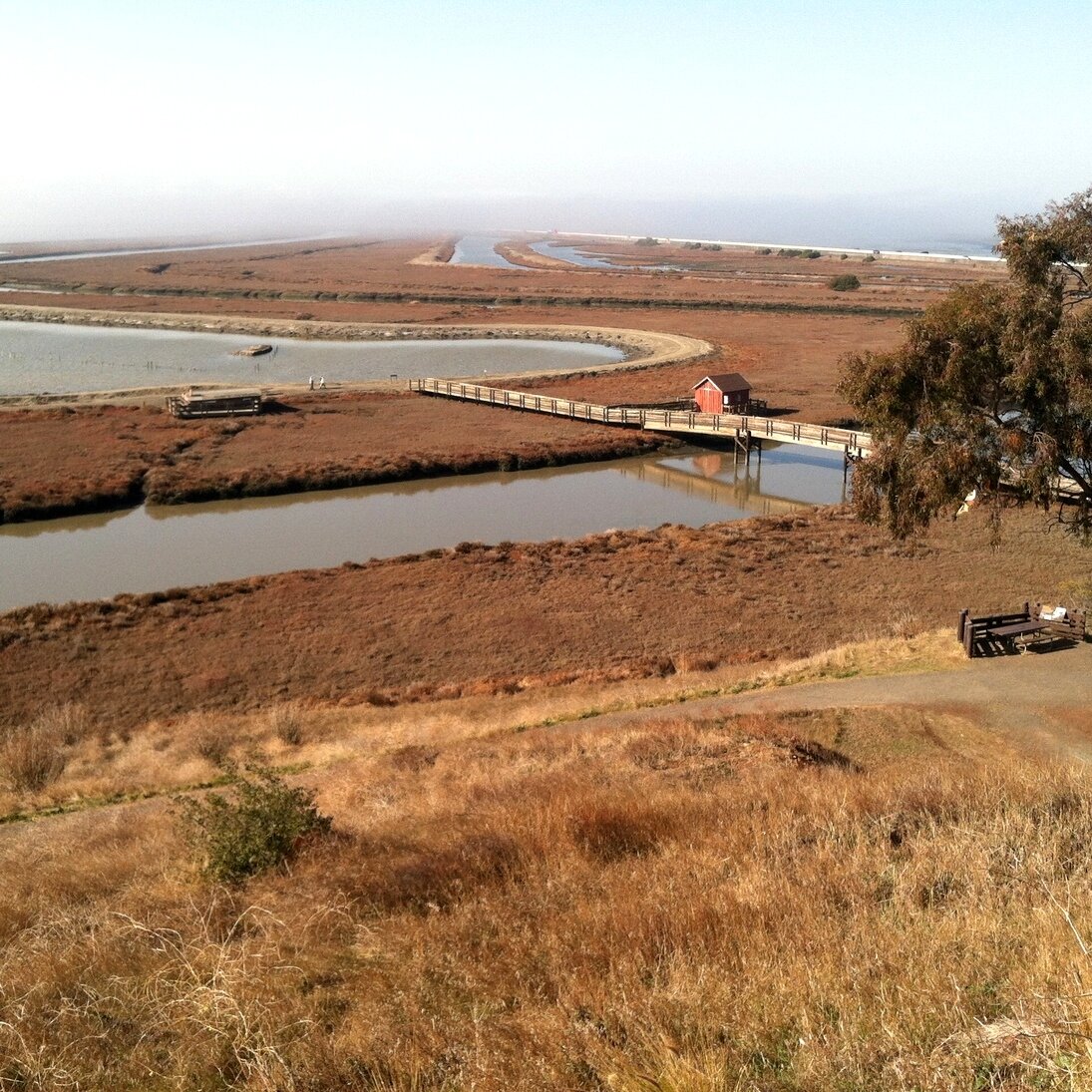 bridge and shed, Alviso, California