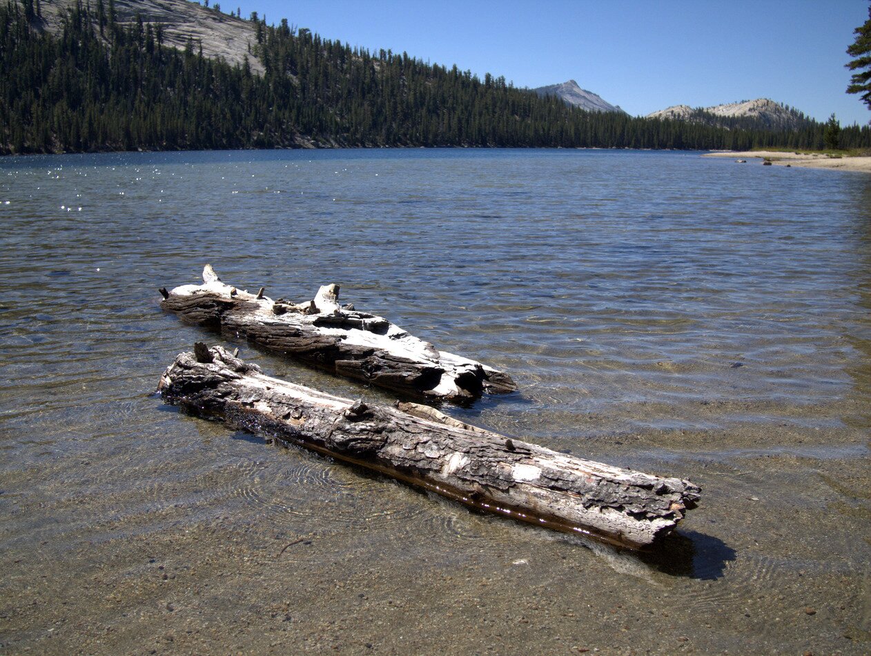 logs and lake, Yosemite, California