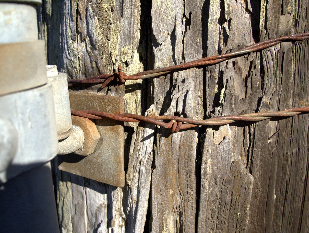 fence post and barbed wire, California
